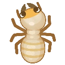 Soldier Termite