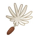 Sunborn Petal Tuft