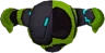 Turtle Champion
